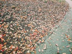 -石峰公园