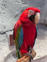 -Zoolung Zoolung动物主题公园(海信广场店)