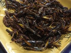 -白家寨子·山野白族菜(古城总店)