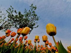 -长春公园(普阳街道)