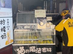 -猫的魔法密林(衣裳街店)