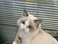 -猫遇摄影工作室