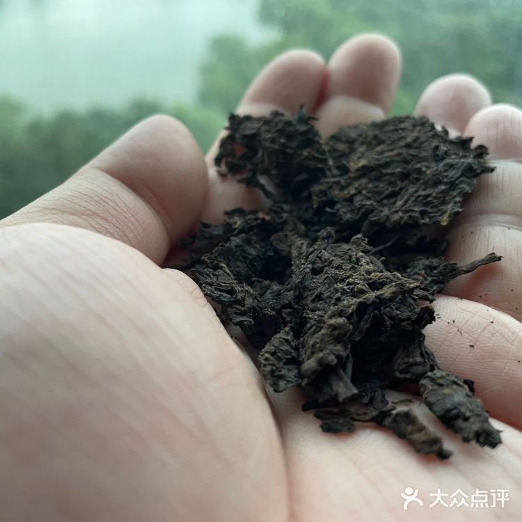 20年龄的老易武熟砖绵柔甜