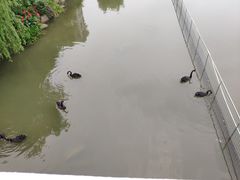 -浙江越秀外国语学院