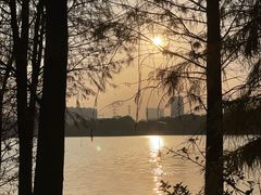 -海珠湖公园