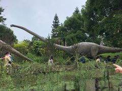 -自贡恐龙博物馆