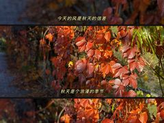 -北宫国家森林公园