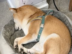 -三目仓咖啡(贤南路店)