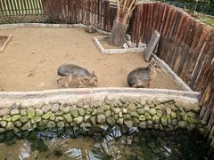 -呀路古热带植物园