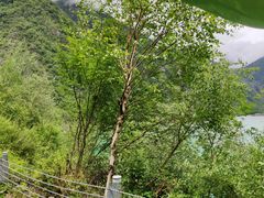 -叠溪松坪沟景区