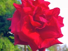 -人民公园(罗湖区)