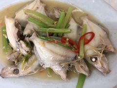竹子鱼-老三鱼仔店