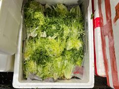 -岳各庄批发市场(西四环中路店)