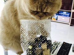 -VENCHI 闻绮(北京国贸商城店)