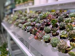 -KKV(深圳宏发大仟里店)