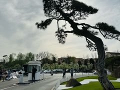 -罗红摄影艺术馆