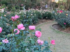 -人民公园(罗湖区)