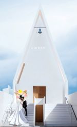 -CD视觉婚纱摄影