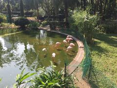 -九龙公园