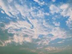 -北岐滩涂