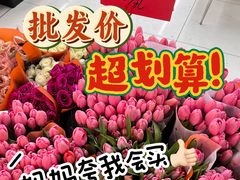 -金汇四季广场