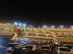 -枇杷园食为鲜火锅(南山店)