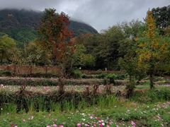 -塔川景区