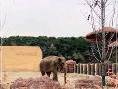 -沈阳森林动物园