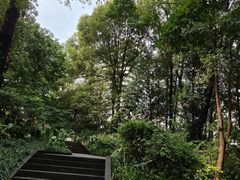 -成都市活水公园