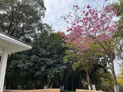 -天河儿童公园