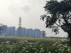 -三圣花乡旅游区