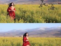 -青海湖国家重点风景名胜区