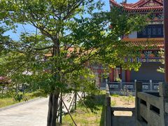 -大围山国家森林公园