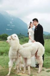 -花漾摄影优选工作室(东莞原创作品店)