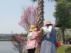 -枫香湖儿童公园