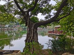 -东莞市可园博物馆