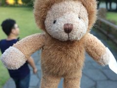 iphone_upload_pic-济州岛泰迪熊博物馆