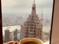 -上海柏悦酒店