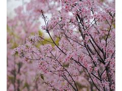 -文华公园(禅城区)