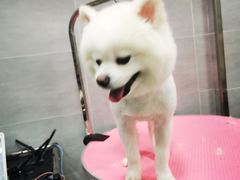 -宠福鑫康馨动物医院·骨科·眼科