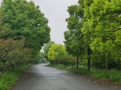 -上海海湾国家森林公园