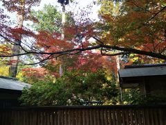 -无印良品(京都BAL店)