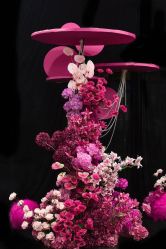 -苏州希尔顿酒店-宴会厅