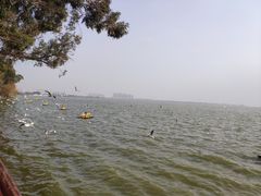 -滇池海埂公园