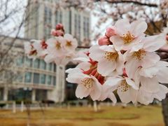 -江南大学(蠡湖校区)