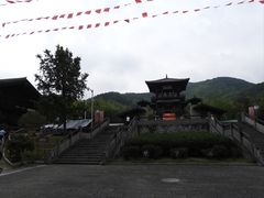 -大唐贡茶院