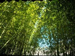 -恭王府博物馆