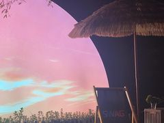 -SWAG·日咖夜酒·城市露营