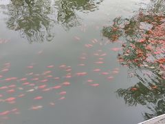 -太原动物园