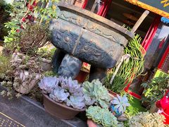 -老鼎万春卤菜(五代传承创始老店)